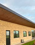 Palissar® Flex Panel | Echtholz Fassadenpaneel für den Aussenbereich | 240 x 60 cm - Palissar