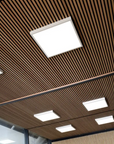 Akustikpaneele Palissar® Standard | 244x52 cm - Oiled Oak
