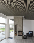Akustikpaneele Palissar ® Basic | 244x52 cm - Ash
