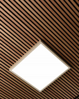 Akustikpaneele Palissar® Standard | 244x52 cm - Oiled Oak