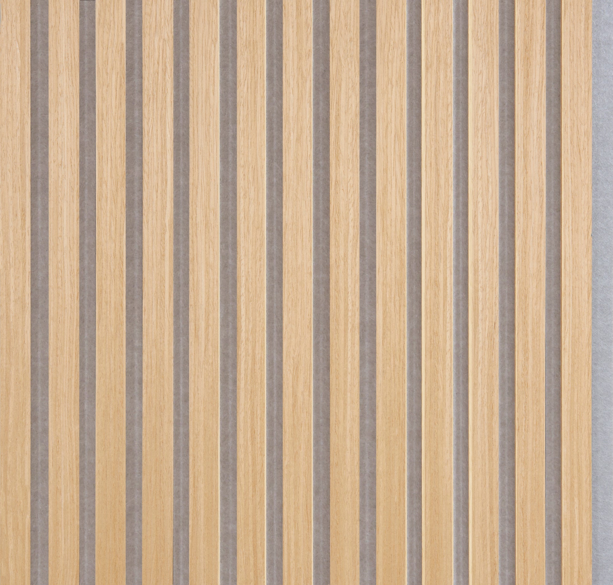 Panneaux acoustiques Palissar® Standard | 244 x 52 cm - Chêne clair (feutre acoustique gris)
