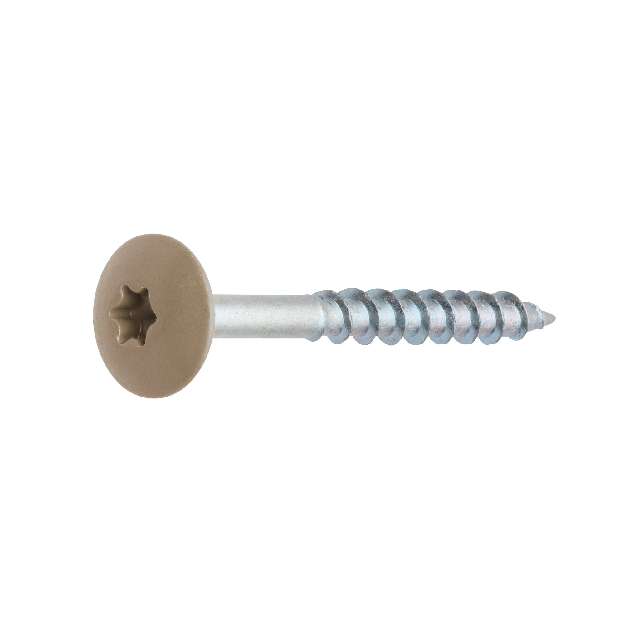 Schrauben (Beige) für Holzpaneele PH2 (50 stc) - Palissar