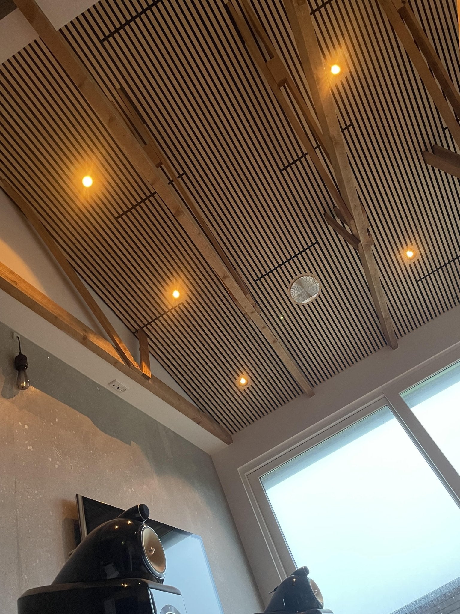 Akustikpaneele Palissar ® Exklusiv | 300x60 cm - Ash - Palissar